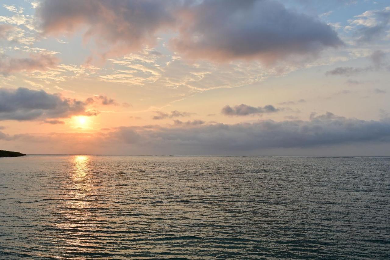 Daily & Weekly Condominium Blue Ocean Ishigaki Ishigaki  Extérieur photo